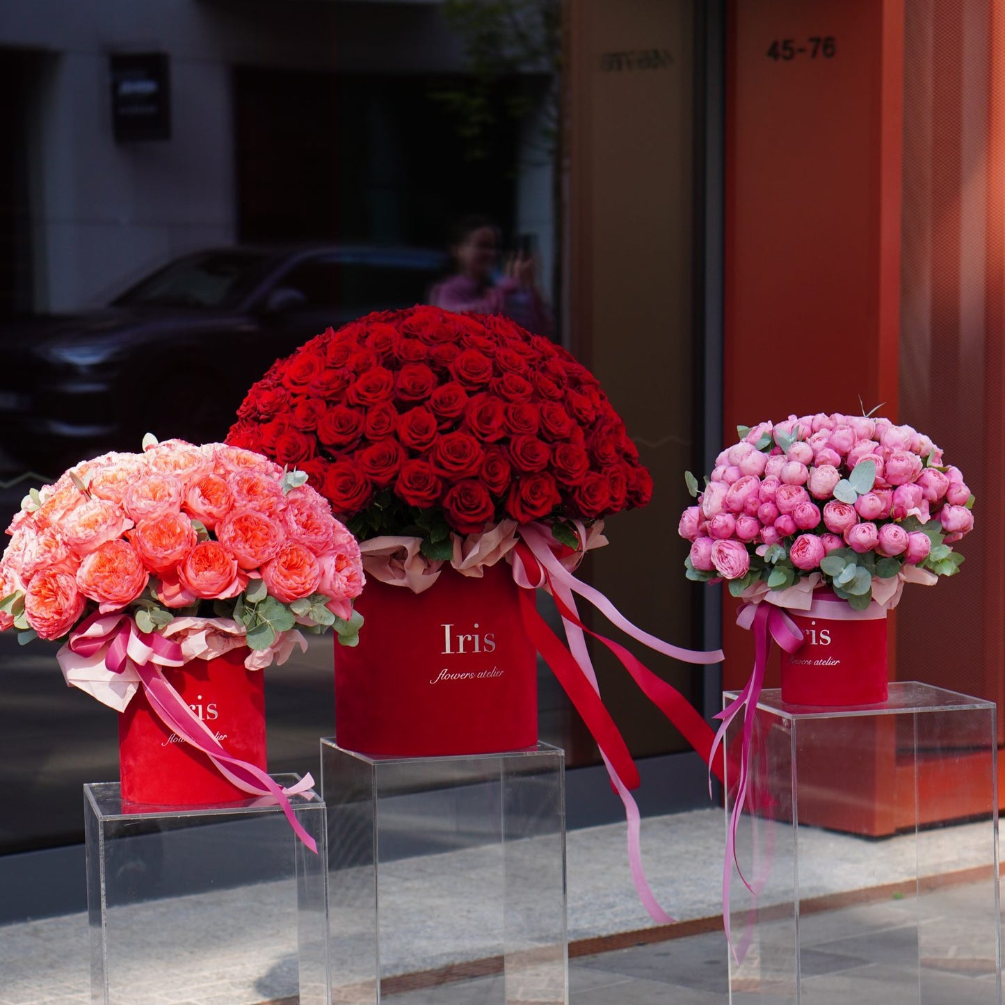 Flowerbox of Silva Pink Rose