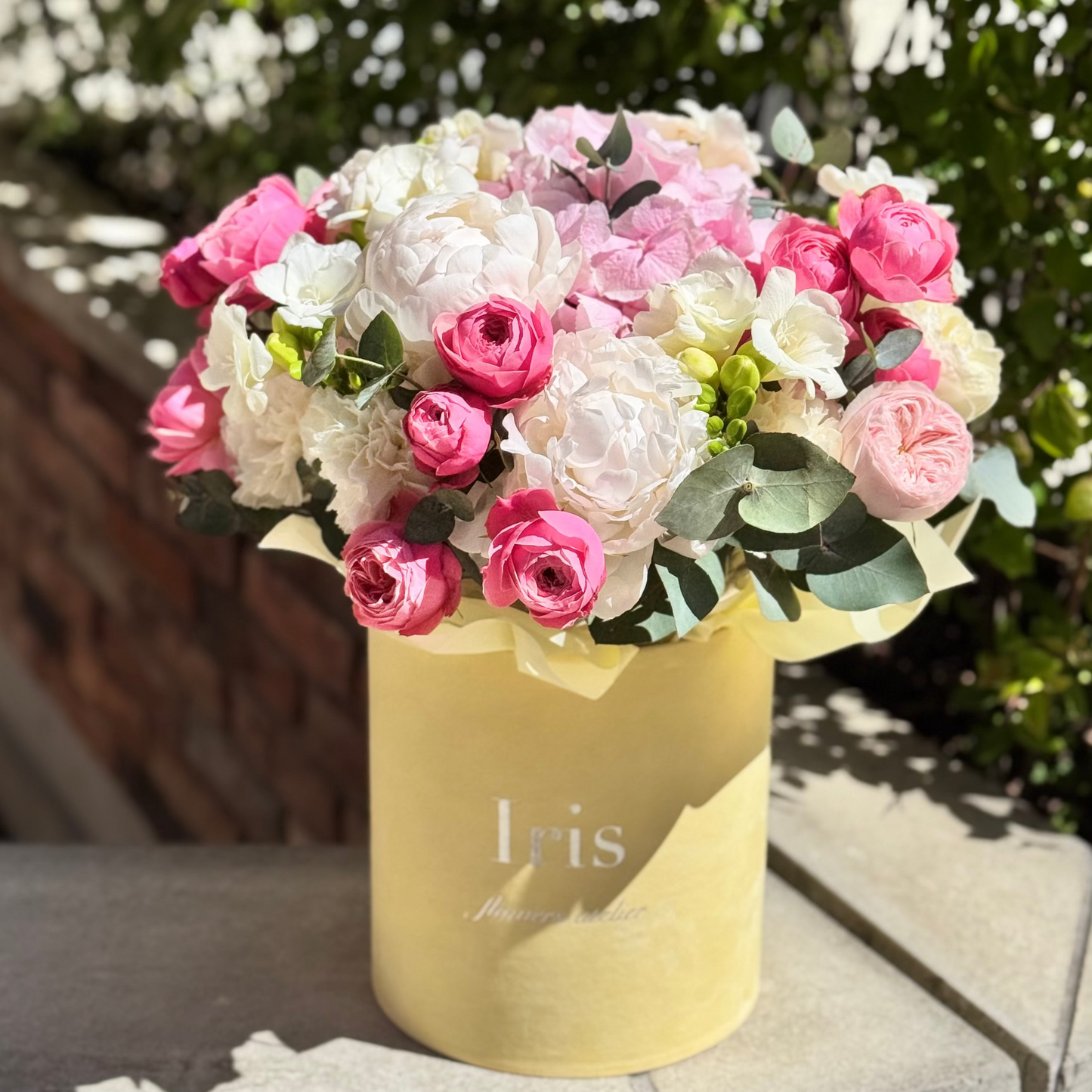 Flowerbox Sunray