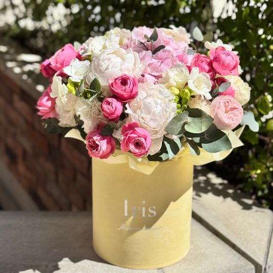 Flowerbox Sunray