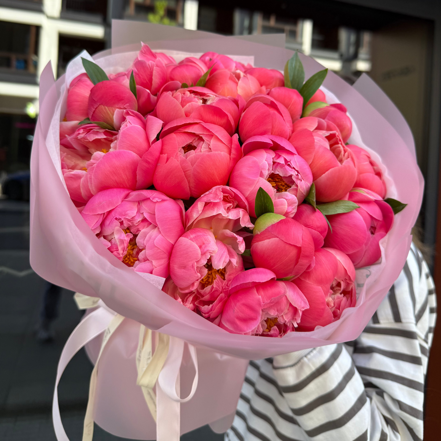 Peonies Coral